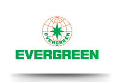 Evergreen